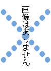 悪石島の地名